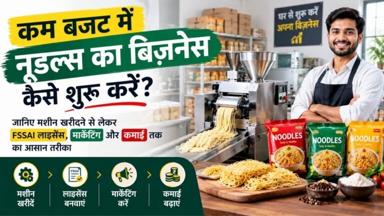 कम बजट में नूडल्स का बिज़नेस कैसे शुरू करें
