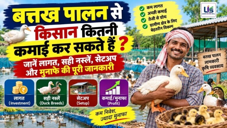 बत्तख पालन से किसान कितनी कमाई कर सकते हैं