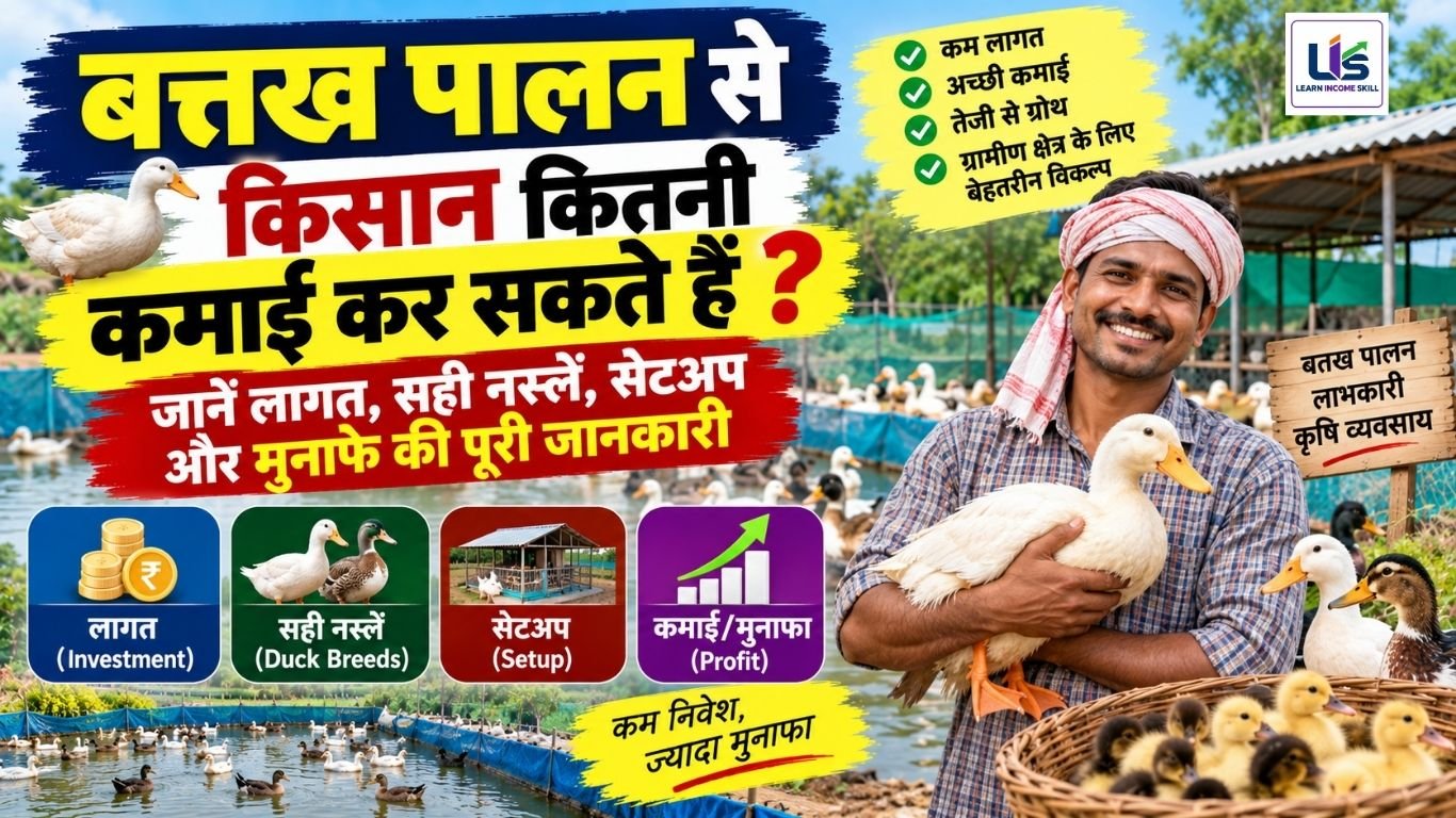 बत्तख पालन से किसान कितनी कमाई कर सकते हैं